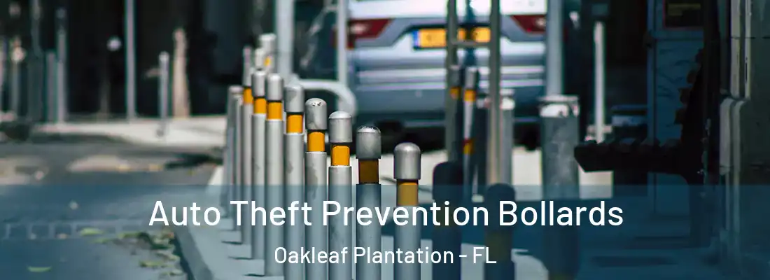  Auto Theft Prevention Bollards Oakleaf Plantation - FL