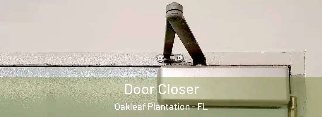  Door Closer Oakleaf Plantation - FL