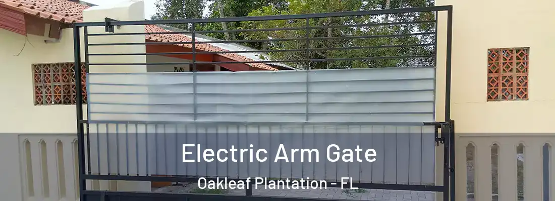  Electric Arm Gate Oakleaf Plantation - FL