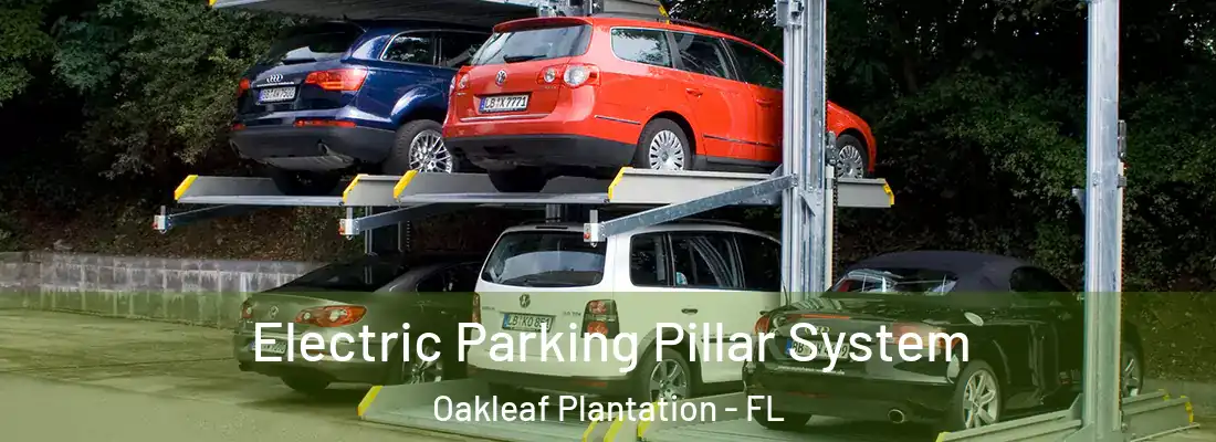  Electric Parking Pillar System Oakleaf Plantation - FL