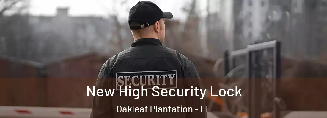  New High Security Lock Oakleaf Plantation - FL