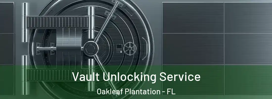 Vault Unlocking Service Oakleaf Plantation - FL